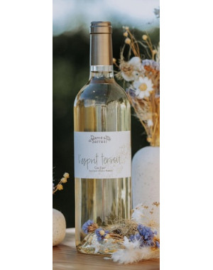 Bouteille de L’Esprit Terroir - vin blanc sec AOP Gaillac – Domaine Les Dames de Sarrasi