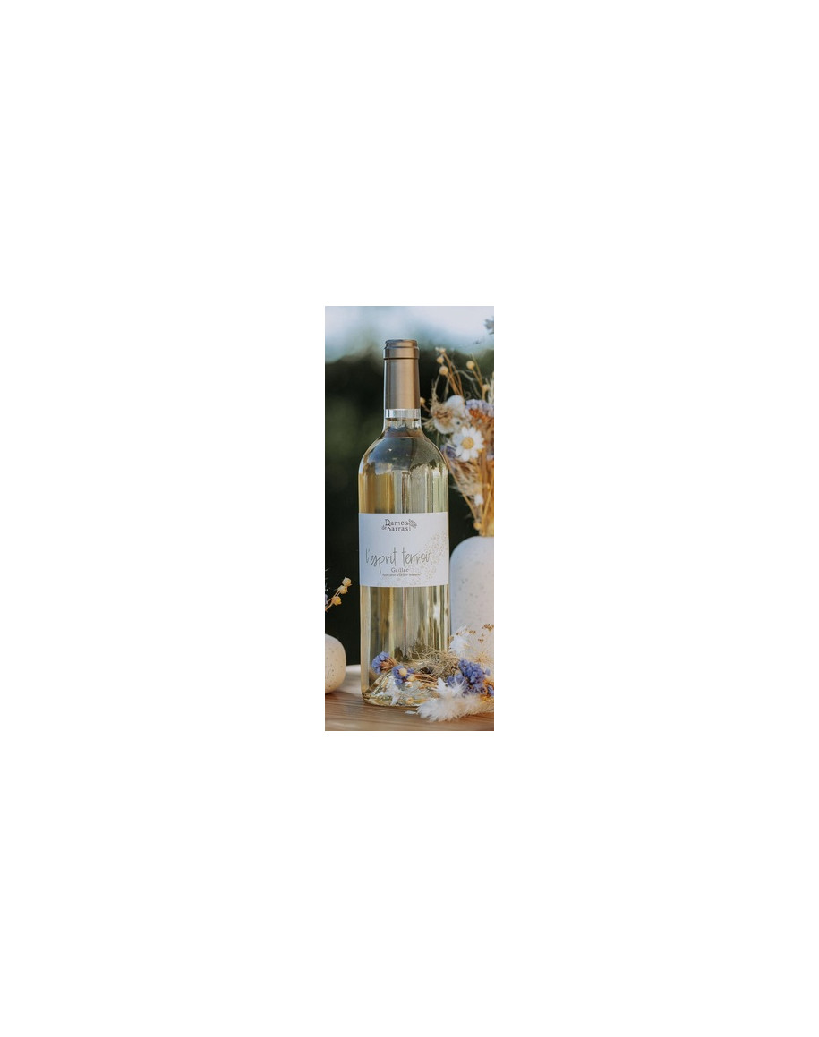 Bouteille de L’Esprit Terroir - vin blanc sec AOP Gaillac – Domaine Les Dames de Sarrasi