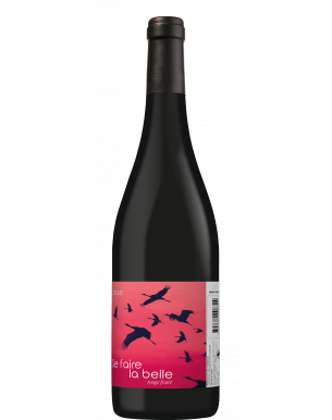 Bouteille de Vin Rouge Fruité - Se Faire La Belle - Vignobles Gayrel, robe aux éclats violacés, arômes de fruits rouges et noirs