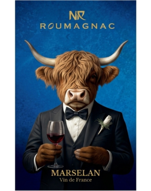Etiquette Face d'une Bouteille de vin rouge Roumagnac Marselan Vin de France