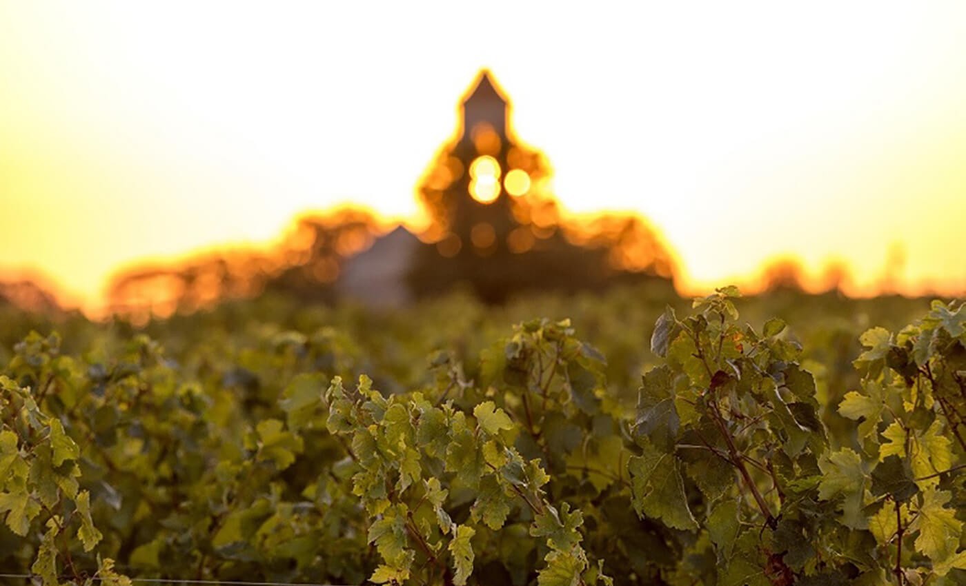 Vin et canicule