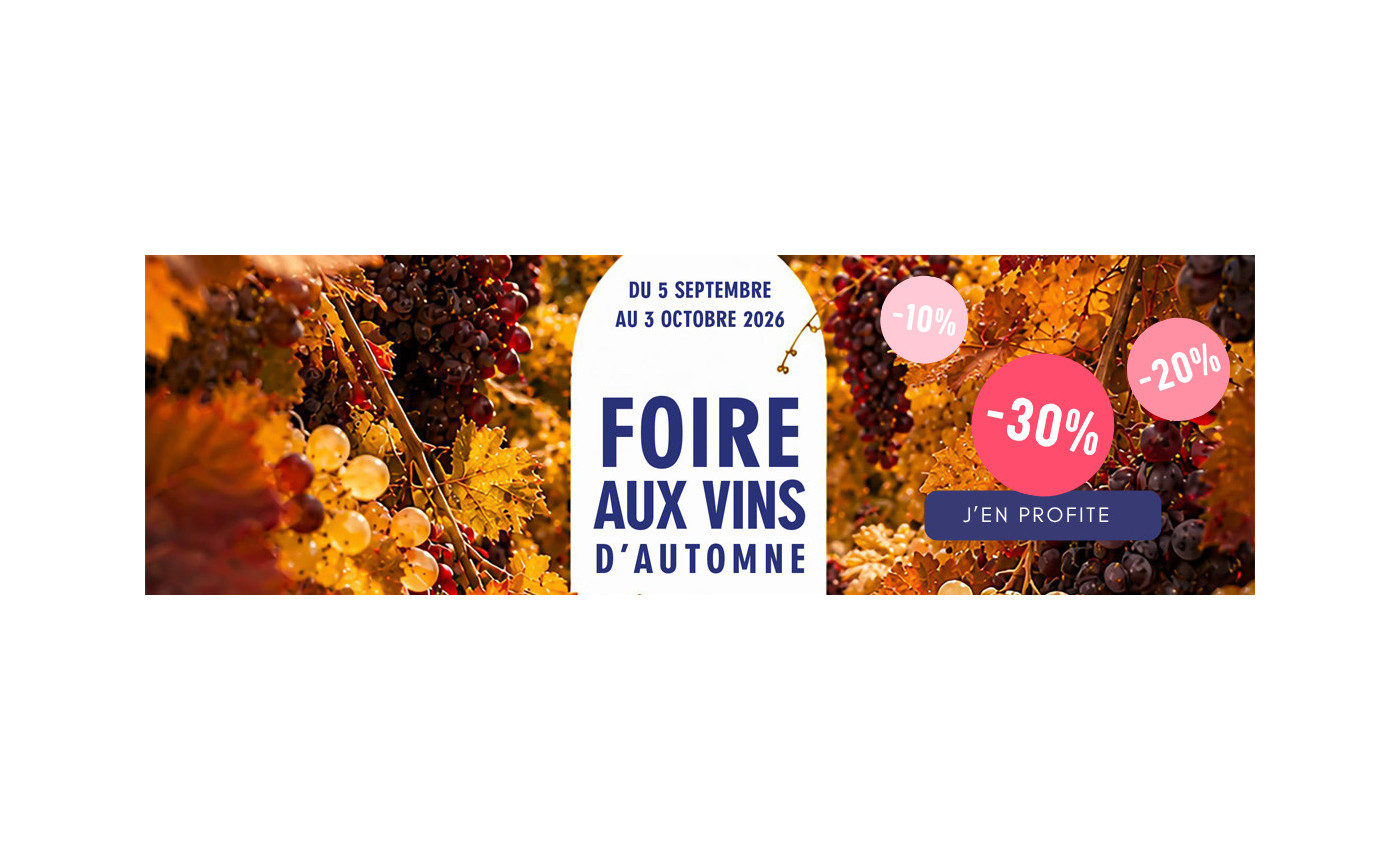 Foire aux Vins 2026 : conseils pour bien choisir