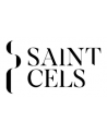 Domaine Saint Cels